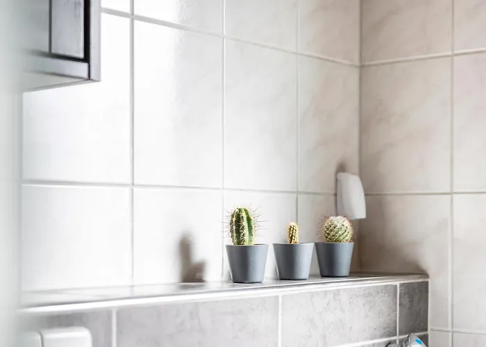 アパート Suedalb アルプシュタット